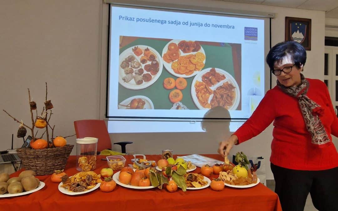 Sušenje sadja, ki dozori v jesenskih mesecih